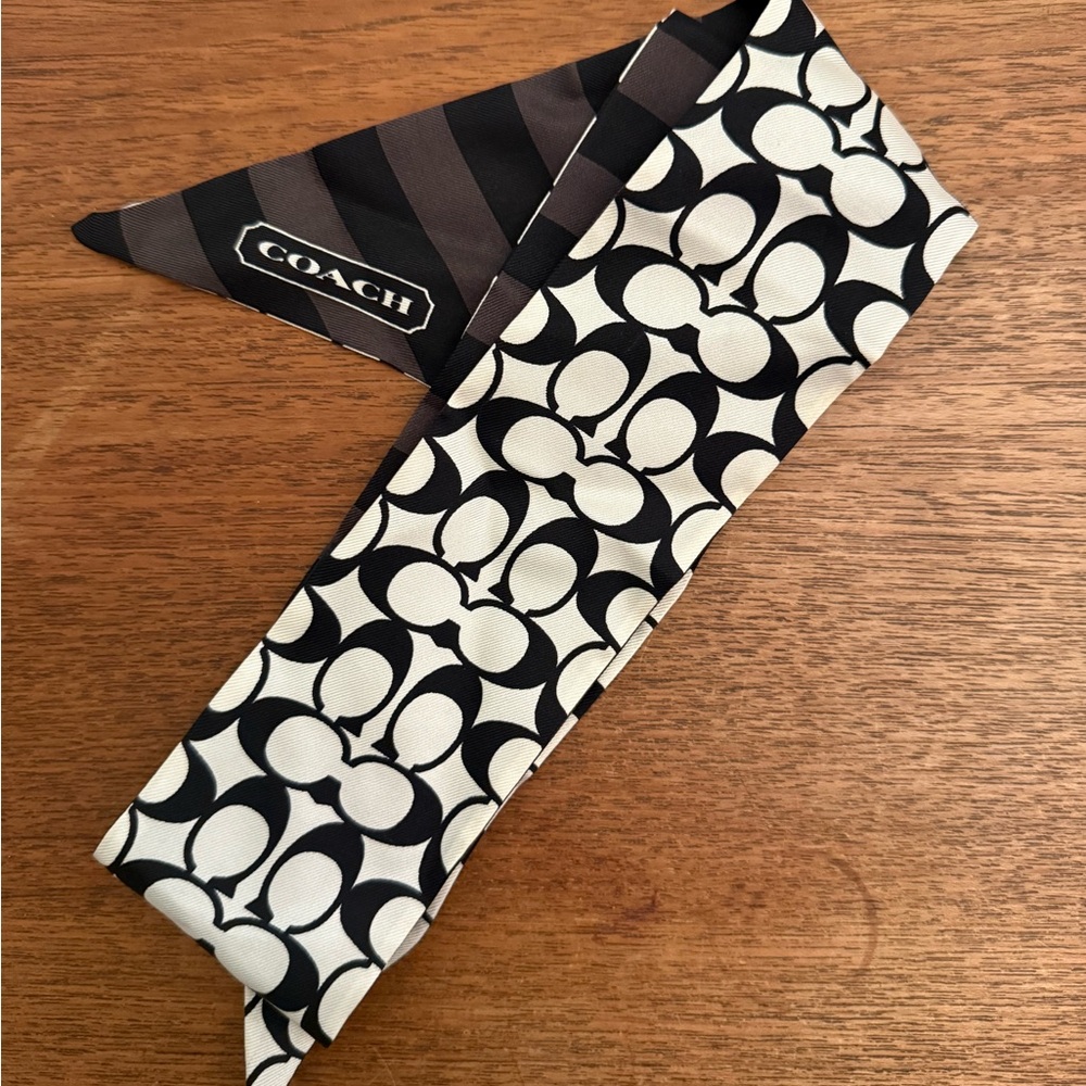 Coach Silk Skinny Scarf